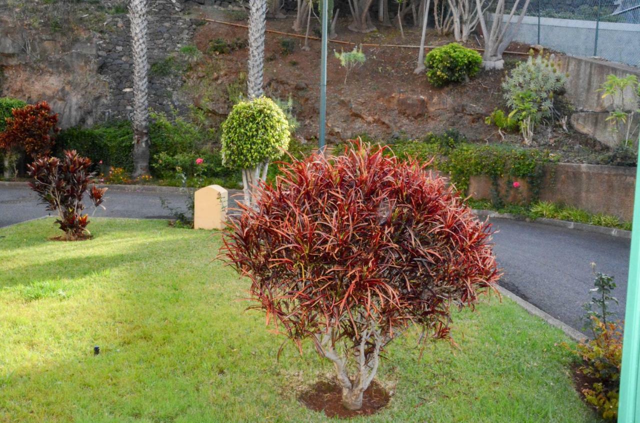 Vista Formosa Funchal Apartamento Exterior foto